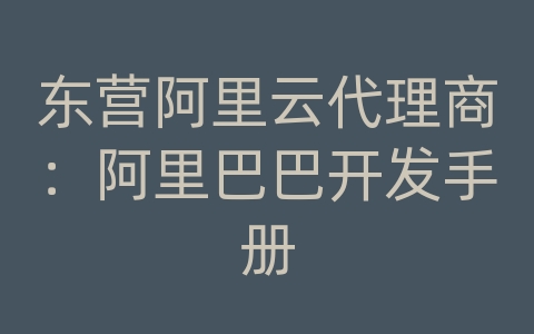 东营阿里云代理商：阿里巴巴开发手册