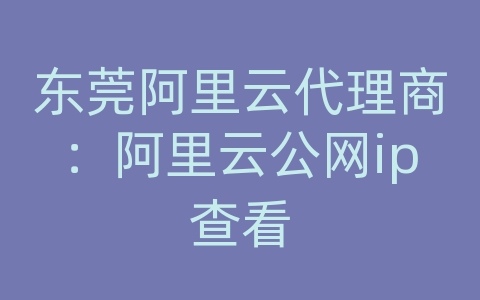 东莞阿里云代理商：阿里云公网ip查看