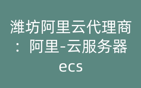 潍坊阿里云代理商：阿里-云服务器ecs