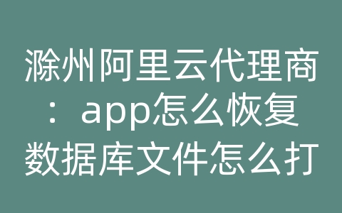 滁州阿里云代理商：app怎么恢复数据库文件怎么打开方式