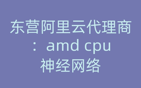 东营阿里云代理商：amd cpu神经网络