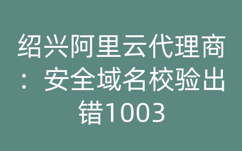 绍兴阿里云代理商：安全域名校验出错1003