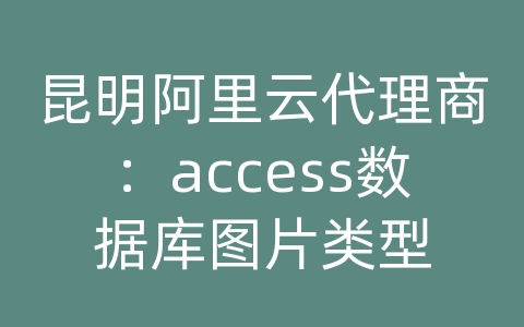 昆明阿里云代理商：access数据库图片类型