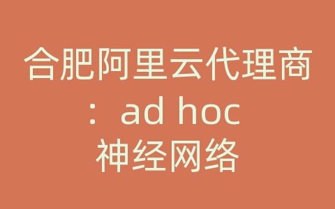 合肥阿里云代理商：ad hoc 神经网络