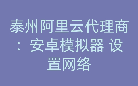 泰州阿里云代理商：安卓模拟器 设置网络