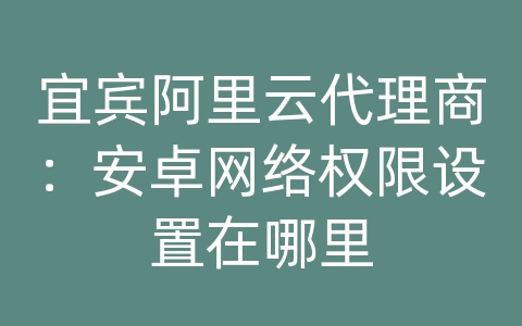 宜宾阿里云代理商：安卓网络权限设置在哪里