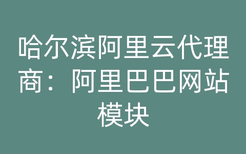 哈尔滨阿里云代理商：阿里巴巴网站模块