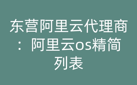 东营阿里云代理商：阿里云os精简列表