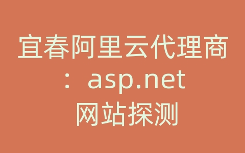 宜春阿里云代理商：asp.net 网站探测