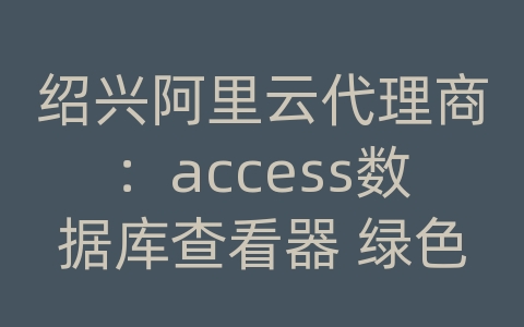 绍兴阿里云代理商：access数据库查看器 绿色