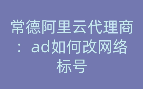 常德阿里云代理商：ad如何改网络标号