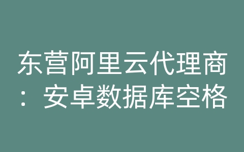 东营阿里云代理商：安卓数据库空格