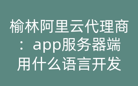 榆林阿里云代理商：app服务器端用什么语言开发