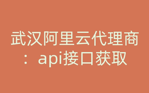 武汉阿里云代理商：api接口获取