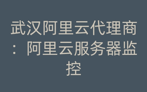 武汉阿里云代理商：阿里云服务器监控