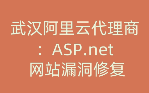 武汉阿里云代理商：ASP.net 网站漏洞修复