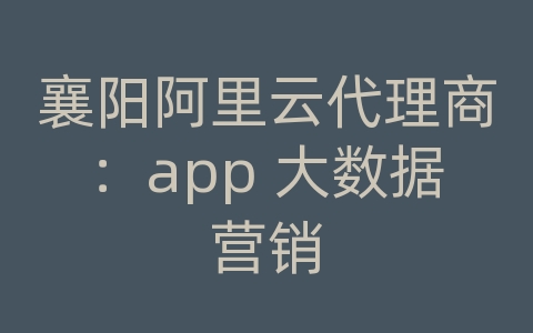 襄阳阿里云代理商：app 大数据营销