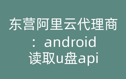 东营阿里云代理商：android读取u盘api