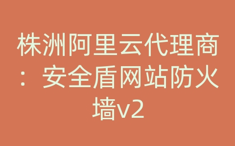 株洲阿里云代理商：安全盾网站防火墙v2