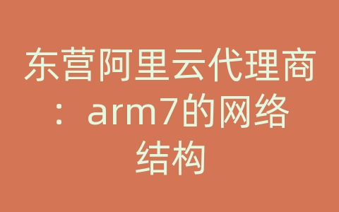 东营阿里云代理商：arm7的网络结构