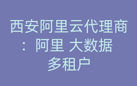 西安阿里云代理商：阿里 大数据 多租户