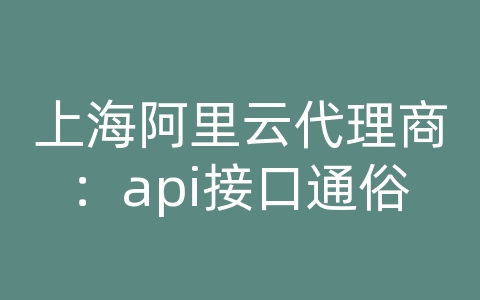 上海阿里云代理商：api接口通俗