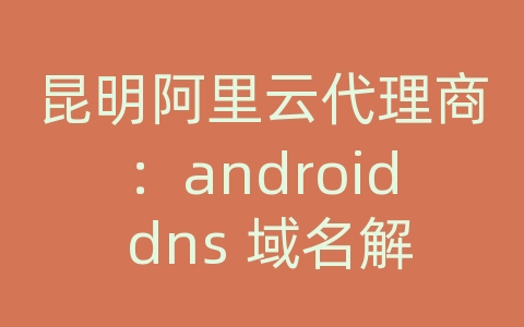 昆明阿里云代理商：android dns 域名解析