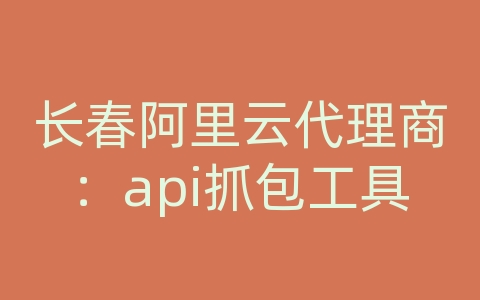 长春阿里云代理商：api抓包工具