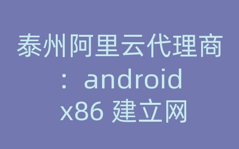 泰州阿里云代理商：android x86 建立网络