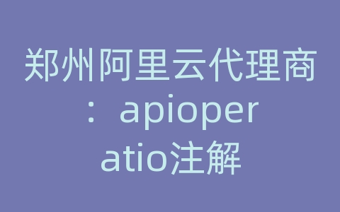 郑州阿里云代理商：apioperatio注解