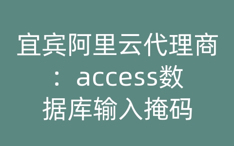 宜宾阿里云代理商：access数据库输入掩码