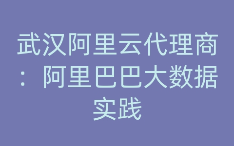 武汉阿里云代理商：阿里巴巴大数据实践