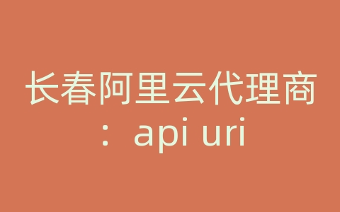 长春阿里云代理商：api uri