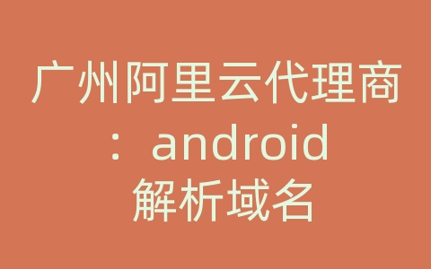 广州阿里云代理商：android 解析域名