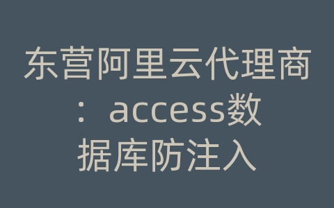 东营阿里云代理商：access数据库防注入