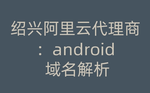 绍兴阿里云代理商：android 域名解析