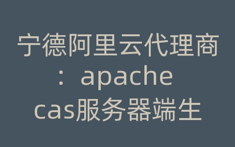 宁德阿里云代理商：apache cas服务器端生成https证书并注册