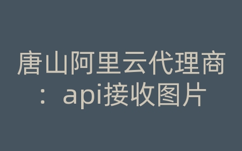 唐山阿里云代理商：api接收图片