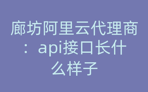 廊坊阿里云代理商：api接口长什么样子