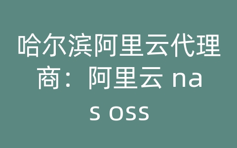 哈尔滨阿里云代理商：阿里云 nas oss