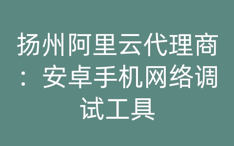 扬州阿里云代理商：安卓手机网络调试工具