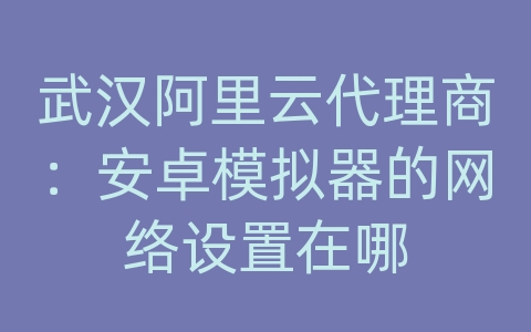 武汉阿里云代理商：安卓模拟器的网络设置在哪