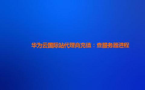 华为云国际站代理商充值：查服务器进程